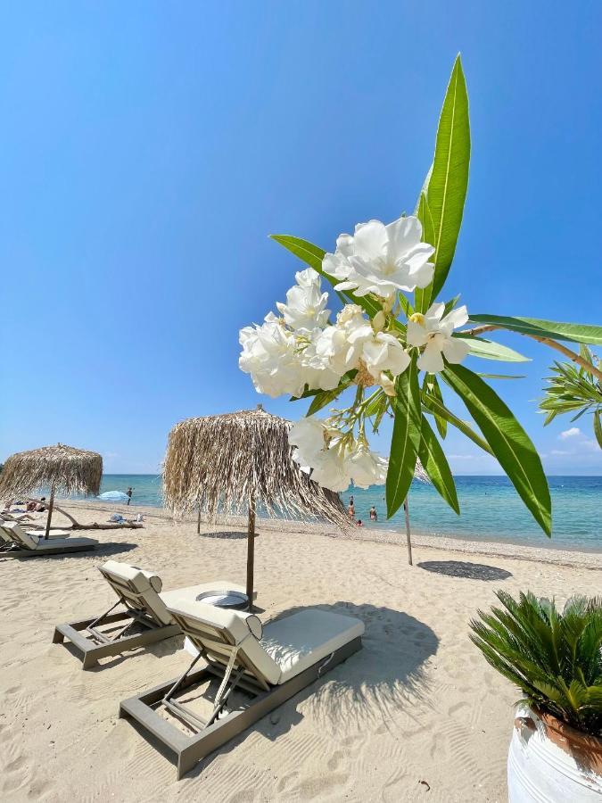 Byblos Mare-The Exclusive Beach Front Villa Skala Sotiros Exterior photo